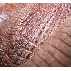 Шкура крокодила с головой и лапами коричневая Crocodile skin